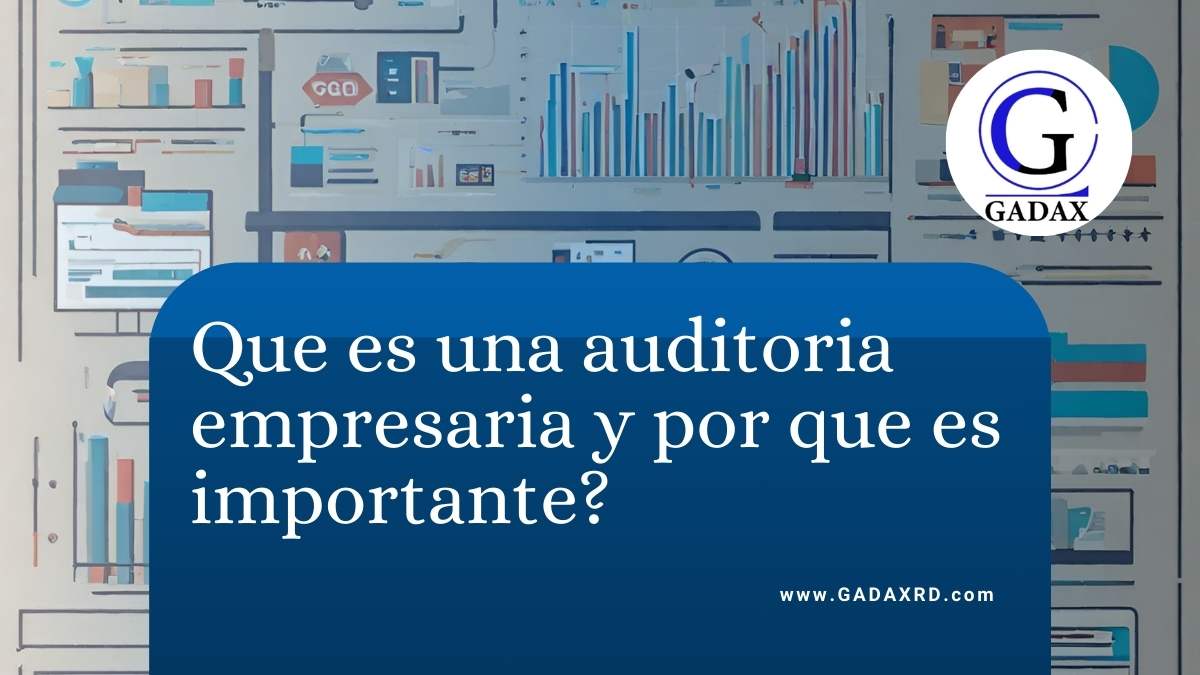 Auditoria Empresarial